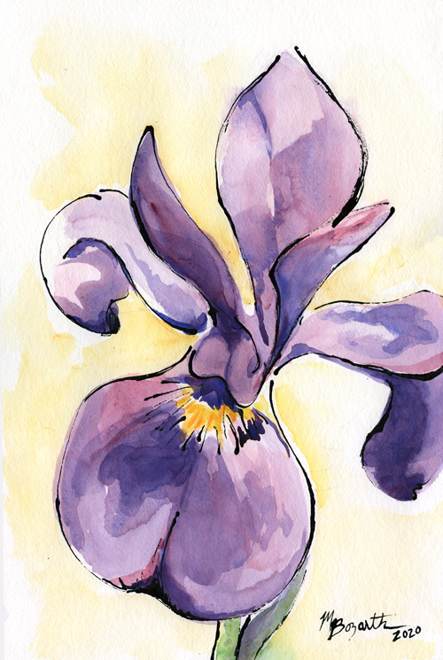 Iris Painting web
